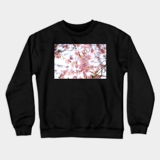 Sakura Blossoms Crewneck Sweatshirt